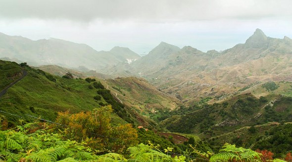 Anagos parkas Tenerifėje
